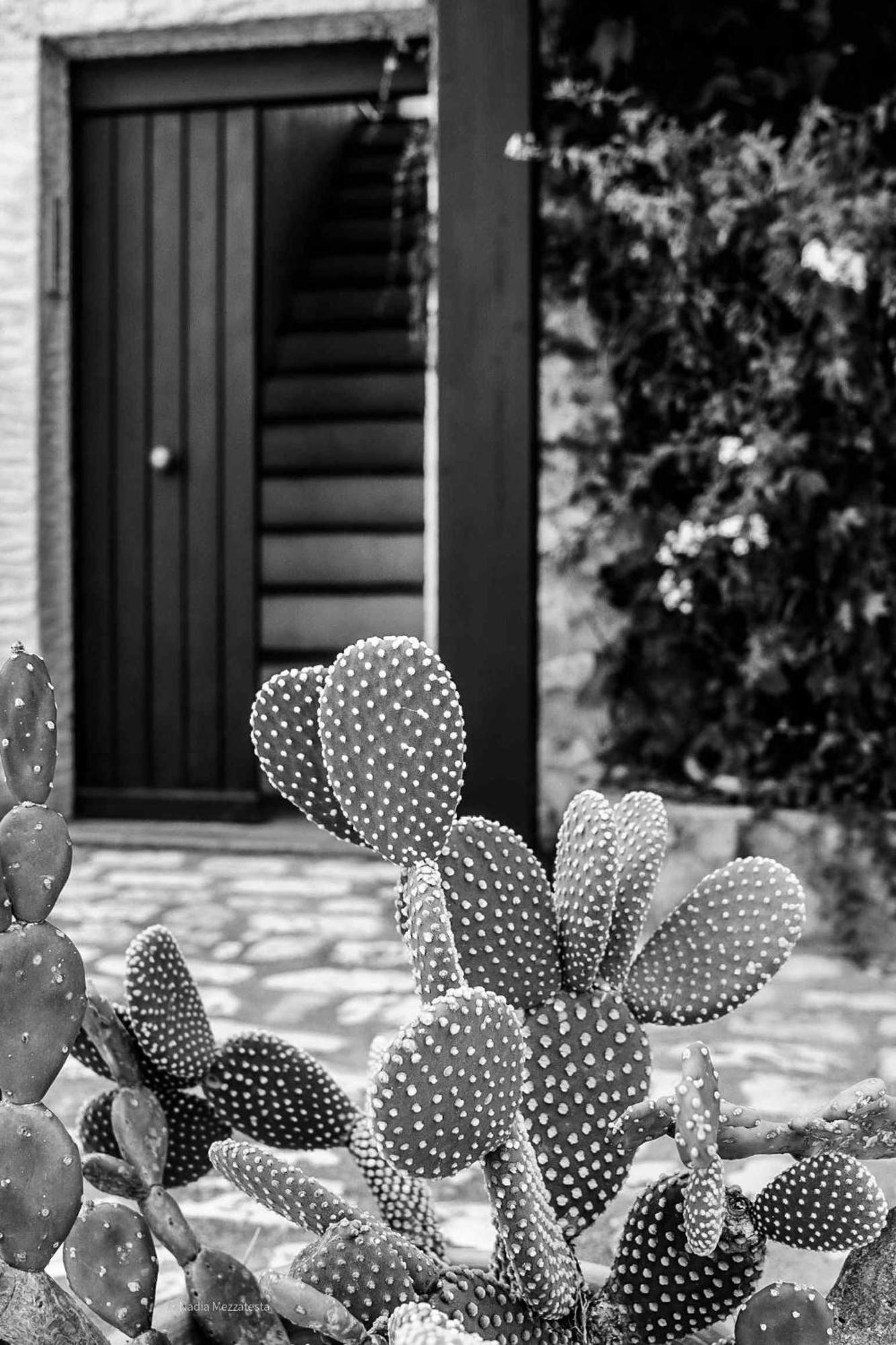 Il Casale Il Sole E La Margherita Campofelice Di Roccella Exterior foto